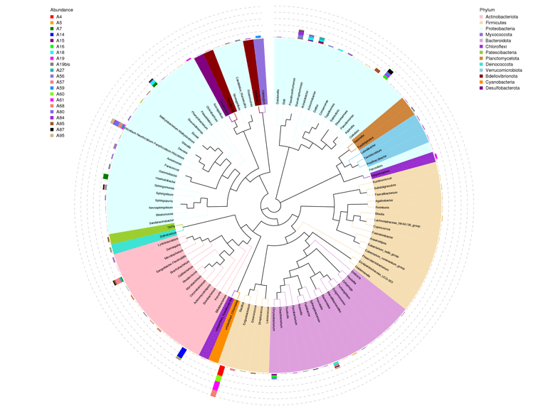 Cleanity Genus 100TREE